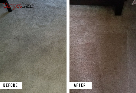 Carpet Cleaning Service in New Jersey