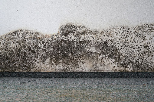 Our Experts provide Water Damage for Carpet Cleaning Service in New Jersey