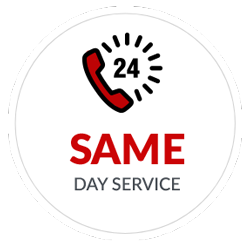 Same Day Carpet Cleaning Service New Jersey