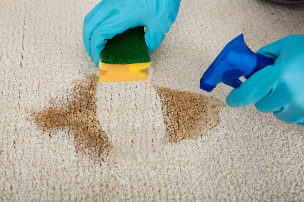 Carpet Cleaning Service in New Jersey