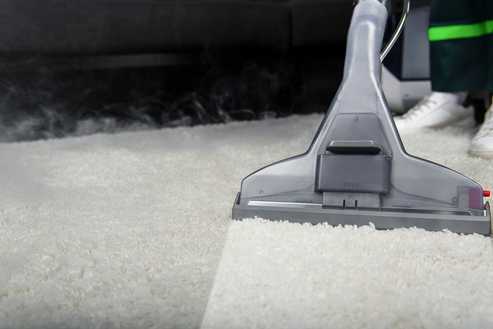 Carpet Cleaning Service in New Jersey Carpet Cleaning Service in New Jersey
