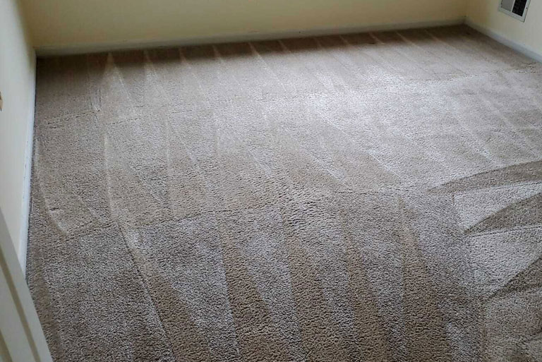 Residential Carpet Cleaning Service in New Jersey