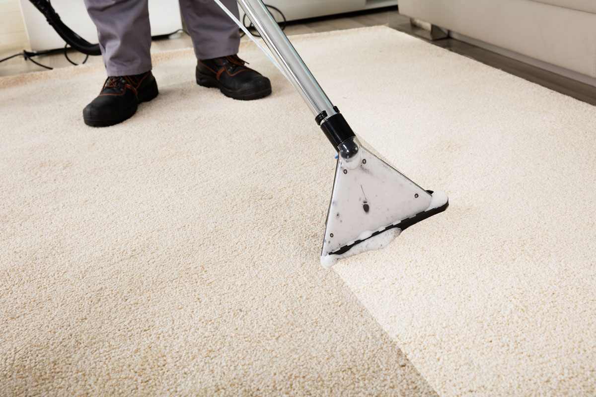 Carpet Cleaning Service New Jersey