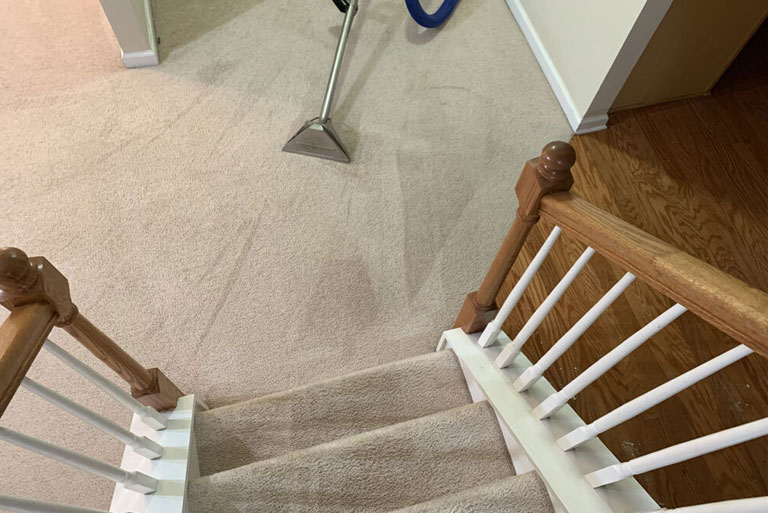 Residential Carpet Cleaning Service in New Jersey