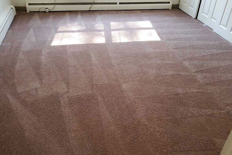 Residential Carpet Cleaning Service in New Jersey