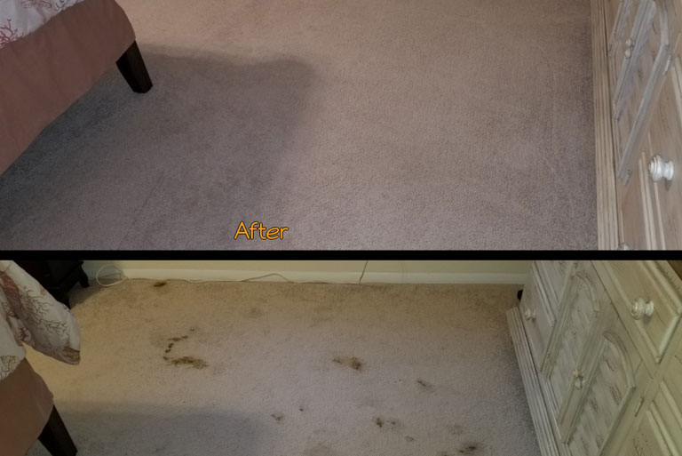 Residential Carpet Cleaning Service in New Jersey