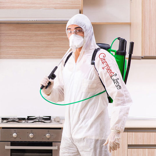 Our Experts provide Disinfection and Sanitizing Cleaning in New Jersey