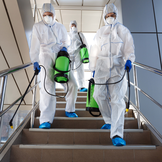 Our Experts provide Disinfection and Sanitizing Cleaning including Commercial Carpet / Rug Cleaning Service in New Jersey Our Experts provide Disinfection and Sanitizing Cleaning including Commercial Carpet / Rug Cleaning Service in New Jersey