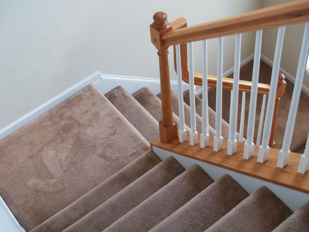 Residential Carpet Cleaning Service in New Jersey