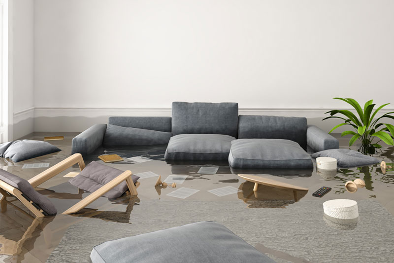 Carpet Water Damage Service New Jersey