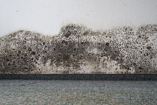 Residential Carpet Cleaning Service in New Jersey Residential Carpet Cleaning Service in New Jersey